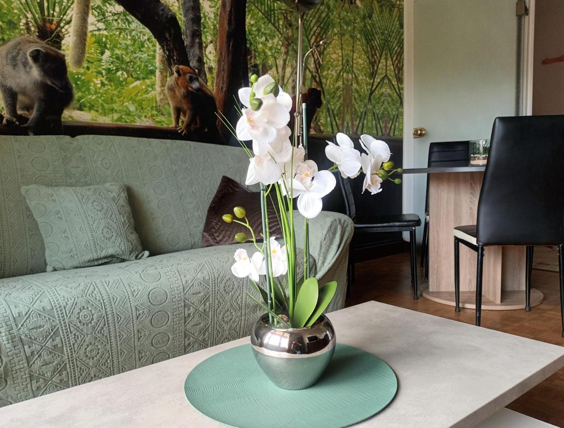 Appartement Escapade Nature Анси Экстерьер фото