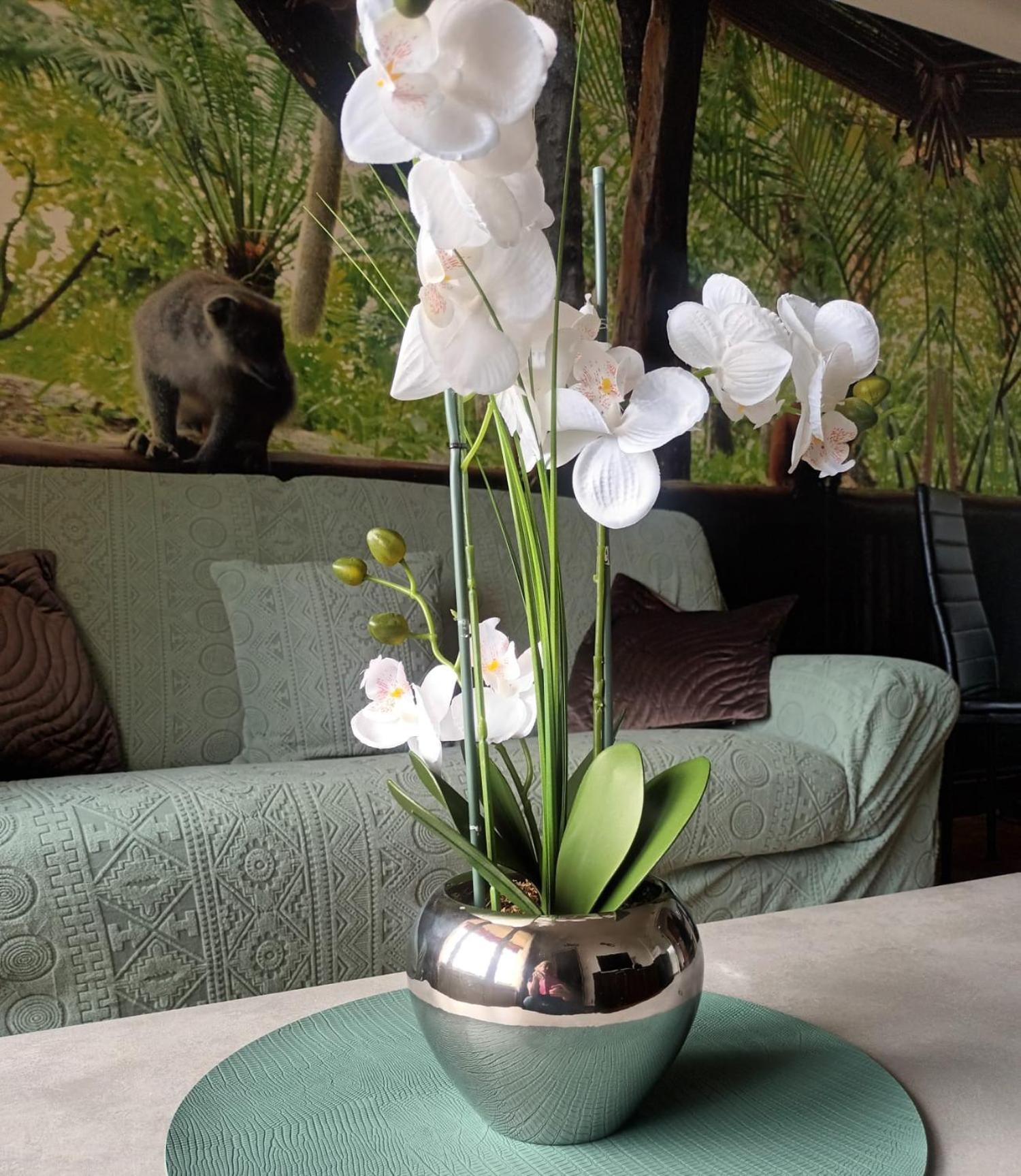 Appartement Escapade Nature Анси Экстерьер фото